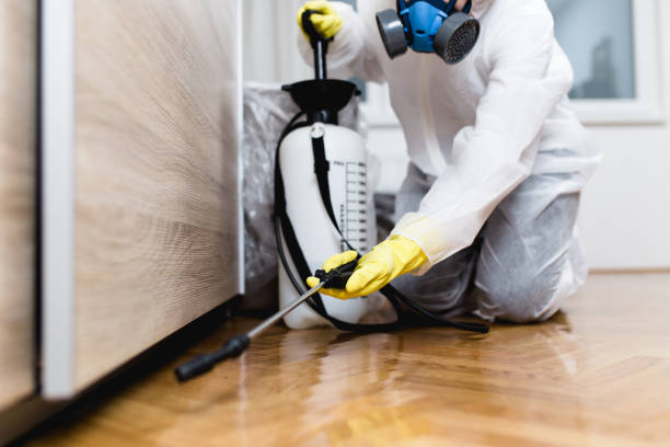 Best Pest Control for Businesses  in Sho Creek, AL