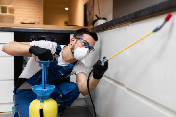 Best Bed Bug Extermination  in Sho Creek, AL