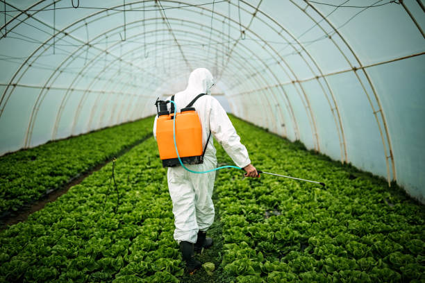 Best Affordable Pest Control Services  in Sho Creek, AL