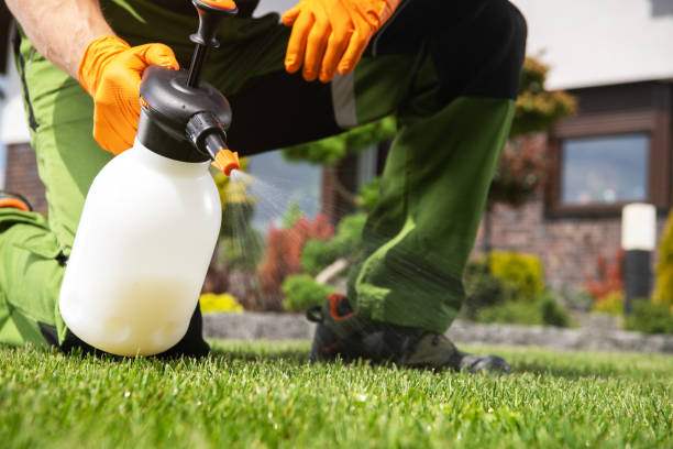 Best Affordable Pest Control Services  in Sho Creek, AL