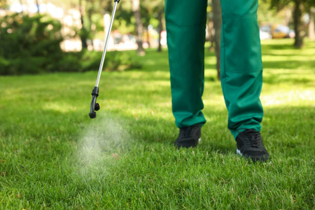 Best Local Pest Control Services  in Sho Creek, AL