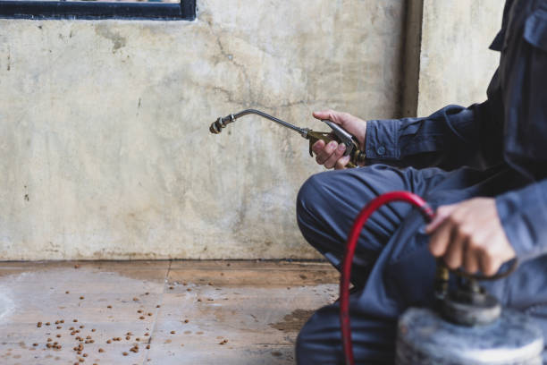 Best Best Pest Control Companies  in Sho Creek, AL