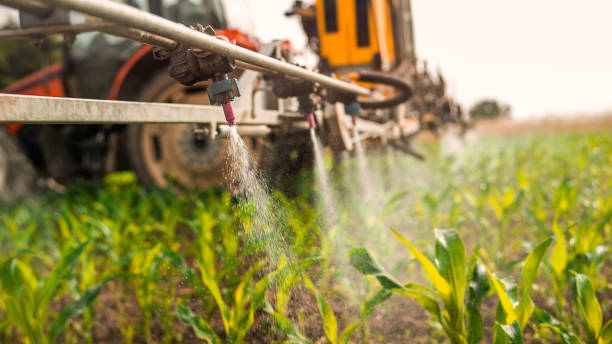 Best Pest Prevention Services  in Sho Creek, AL