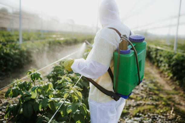 Pest Prevention Services in Shoal Creek, AL